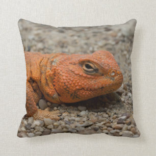 Uromastyx geyri throw pillow