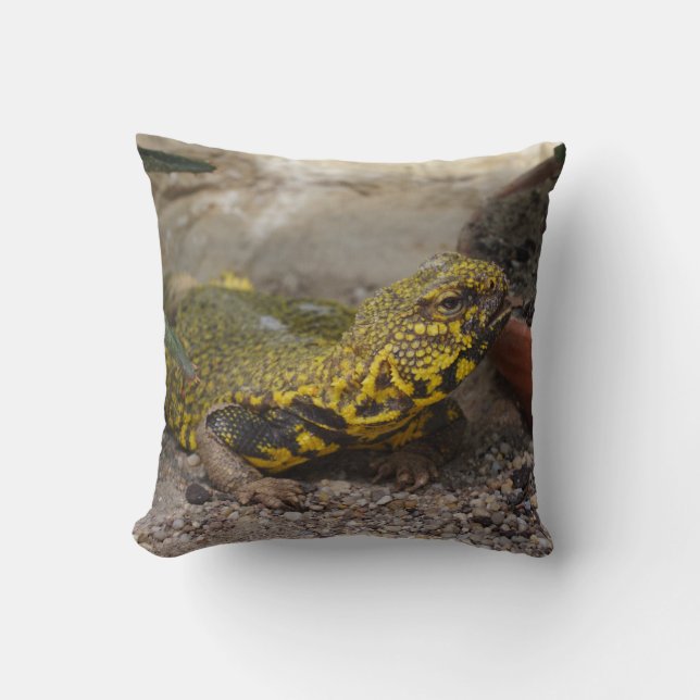 Uromastyx geyri throw pillow (Front)