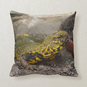 Uromastyx geyri throw pillow