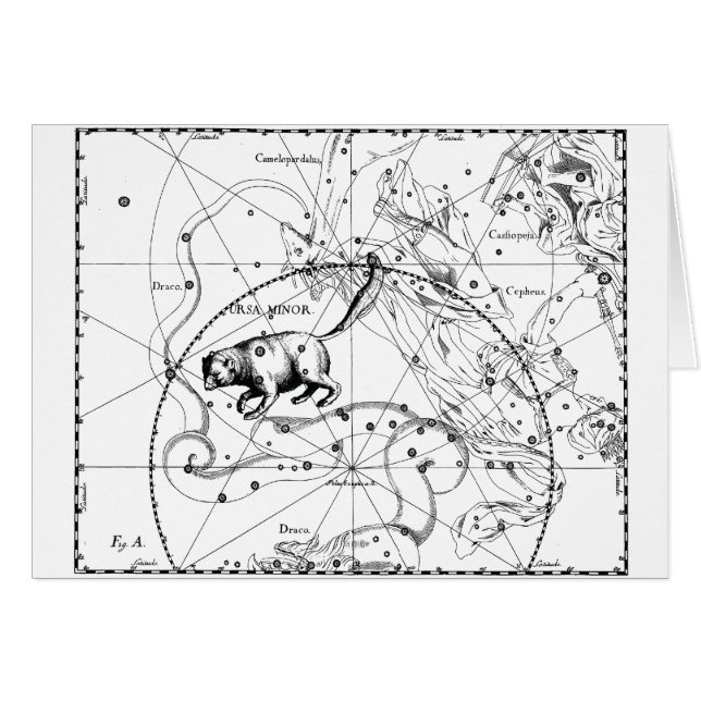 Ursa Minor (Front Horizontal)