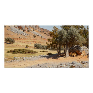 Ursus arctos crowtheri – The Atlas Bear Poster