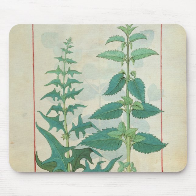 Urticaceae Mouse Pad (Front)