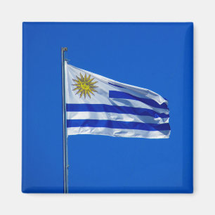 uruguay flag magnet