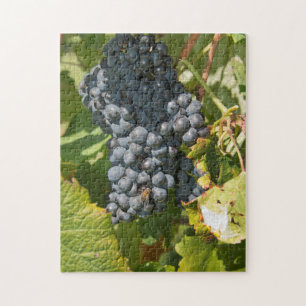 Uruguay, Montevideo, Colon Area. Bodegas Jigsaw Puzzle