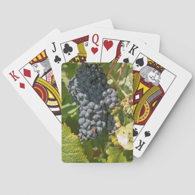 Uruguay, Montevideo, Colon Area. Bodegas Playing Cards (Back)