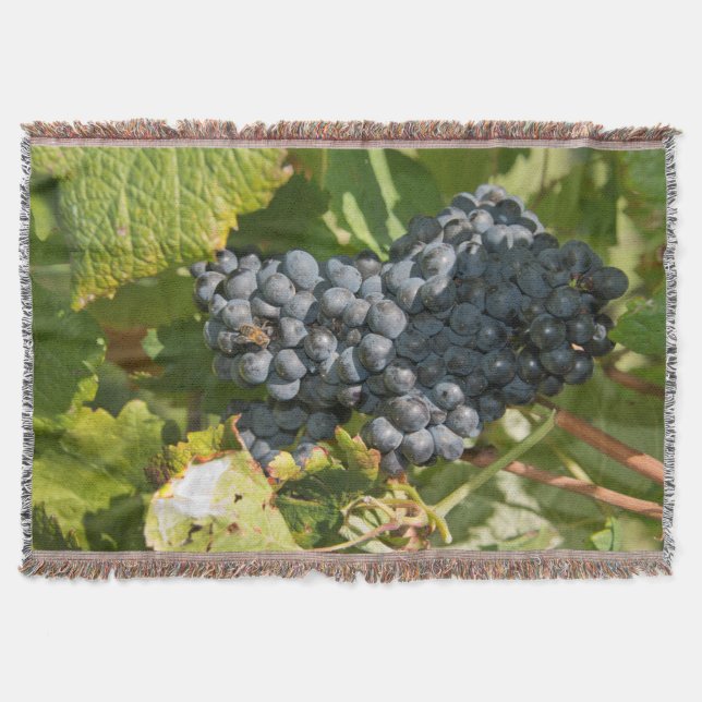 Uruguay, Montevideo, Colon Area. Bodegas Throw Blanket (Front)