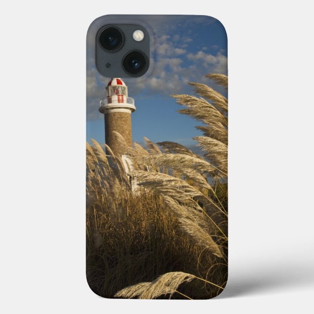 Uruguay, Montevideo Department, Montevideo. 2 Case-Mate iPhone Case (Back)