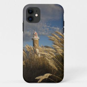 Uruguay, Montevideo Department, Montevideo. 2 iPhone 11 Case