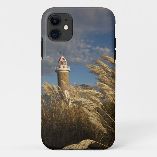 Uruguay, Montevideo Department, Montevideo. 2 Case-Mate iPhone Case (Back)