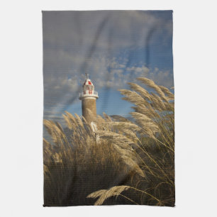 Uruguay, Montevideo Department, Montevideo. 2 Kitchen Towel