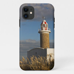 Uruguay, Montevideo Department, Montevideo. 3 iPhone 11 Case
