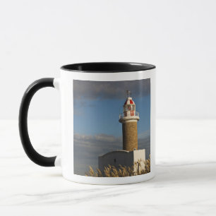 Uruguay, Montevideo Department, Montevideo. 3 Mug