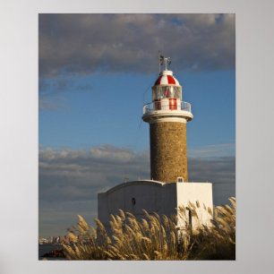 Uruguay, Montevideo Department, Montevideo. 3 Poster
