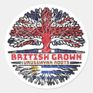 Uruguay Uruguayan Uk United Kingdom British Tree Classic Round Sticker