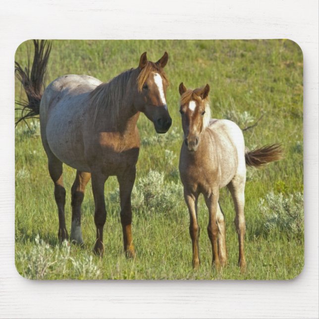US35 CHA0209.jpg Mouse Pad (Front)