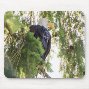 US48 TDR1627.jpg Mouse Pad