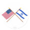 US and Israel Crossed Flags