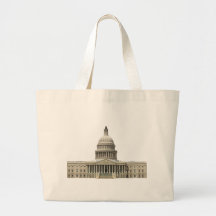 US Capital Building: Washington DC