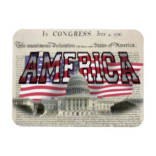 US Capital US Flag Flexable Magnet