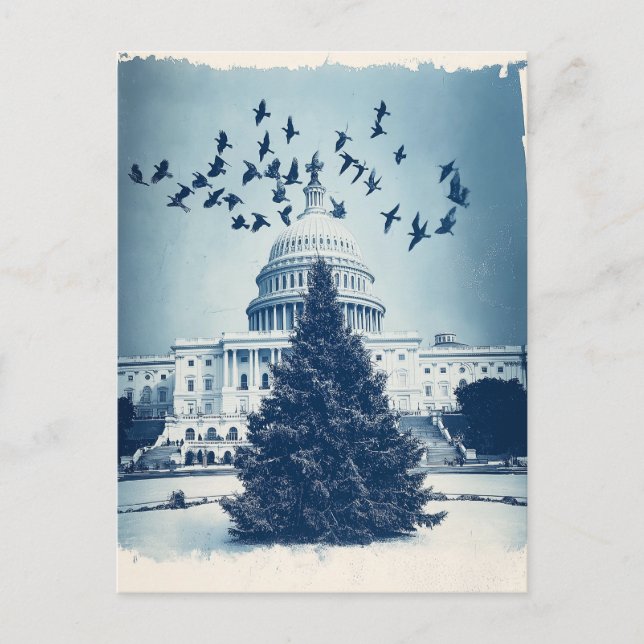US Capitol Hill Christmas Tree Carte de vacances,  (Devant)