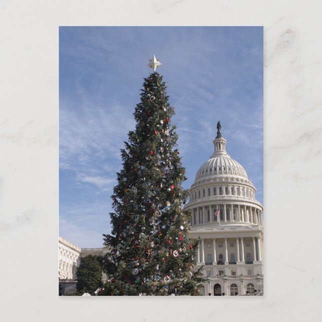US Capitol Hill christmas tree Holiday Postcard (Front)