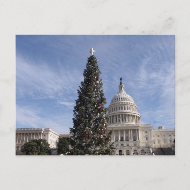 US Capitol Hill christmas tree Holiday Postcard (Front)