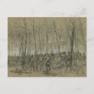 US Civil War: The Wilderness Postcard