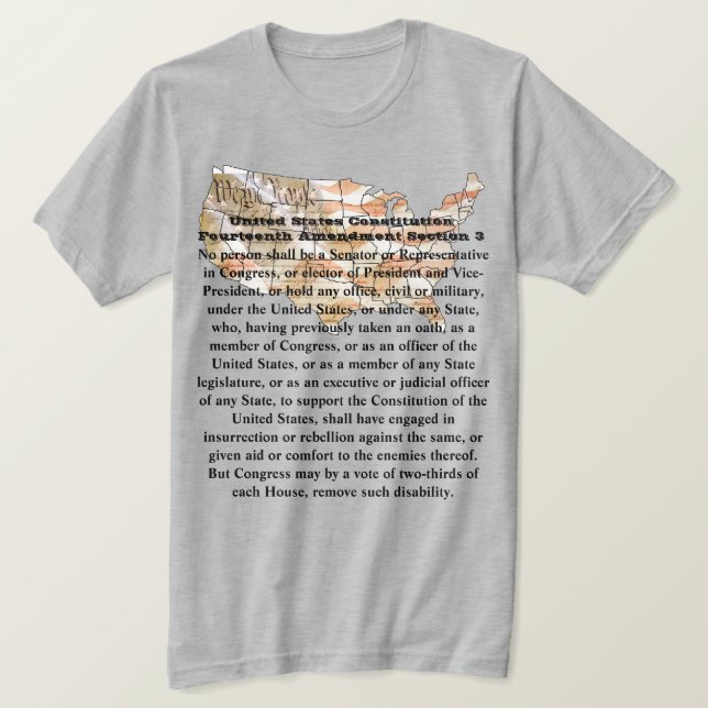 US Constitution Fourteenth Amendment Section 3 T-Shirt (Design Front)