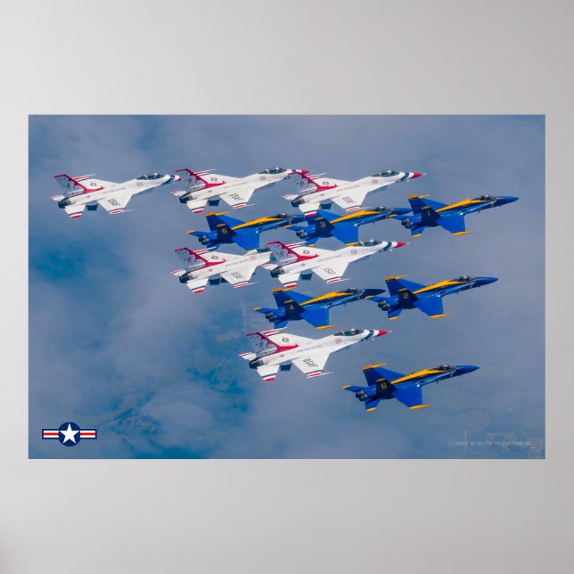 US DEMO TEAMS SALUTE! POSTER (Front)