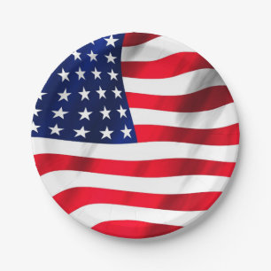 US Flag American Flag Fourth Of July Party Paper Plate