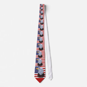 US Flag and American Eagle Tie