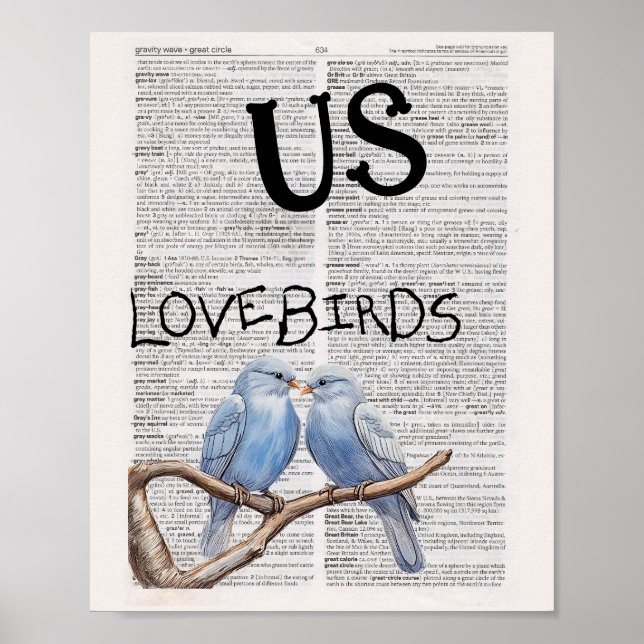 US —— LOVEBIRDS  POSTER (Front)