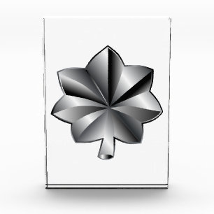 US Military Rank - Lieutenant Colonel Photo Block