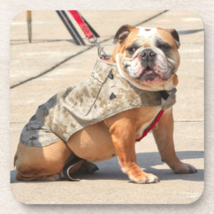 US MILITARY SERVICE DOG COASTER