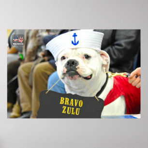 US MILITARY SERVICE DOG POSTER
