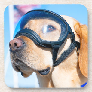 US MILITARY WORKING DOG COASTER