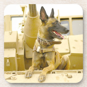 US MILITARY WORKING DOG COASTER
