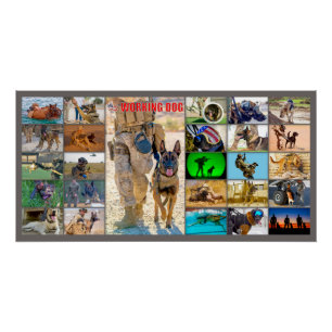 US MILITARY WORKING DOG "MONTAGE" POSTER