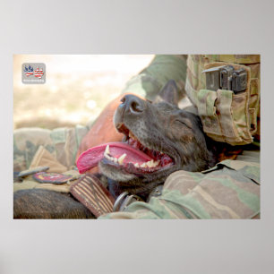 US MILITARY WORKING DOG POSTER