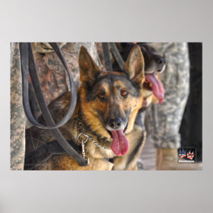 US MILITARY WORKING DOG POSTER