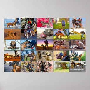 US MILITARY WORKING DOGS “MONTAGE” POSTER