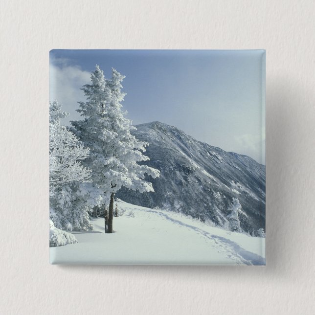 US, NH, Snow covered trees Trails Snoeshoe 2 Inch Square Button (Front)