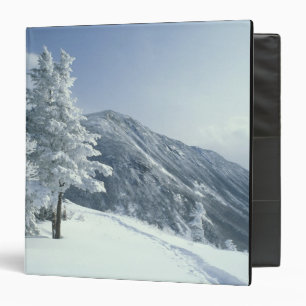 US, NH, Snow covered trees Trails Snoeshoe Binder