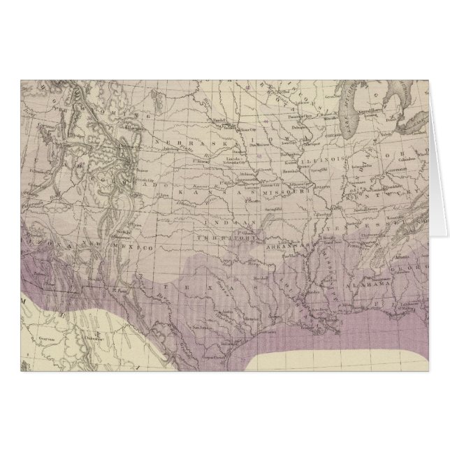 US Temperature (Front Horizontal)