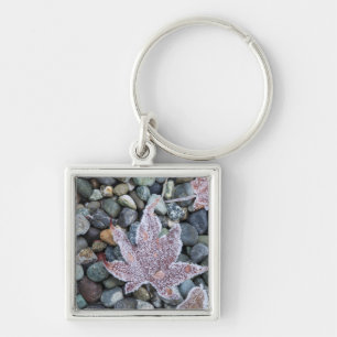 Us, Wa, Bainbridge Island. Early Morning Frost 2 Keychain