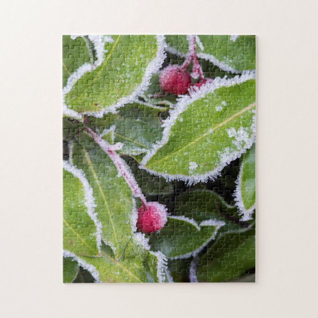 Us, Wa, Bainbridge Island. Early Morning Frost Jigsaw Puzzle (Vertical)