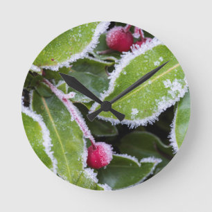 Us, Wa, Bainbridge Island. Early Morning Frost Round Clock