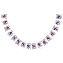 USA 250th Anniversary 1776-2026