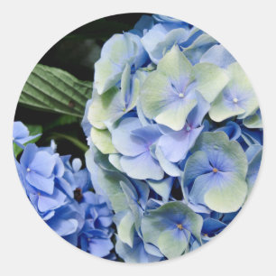 USA, Alabama, Theodore Near Mobile 2 Classic Round Sticker