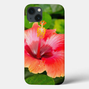 USA, Alabama, Theodore Near Mobile 4 iPhone 13 Case